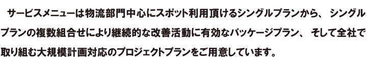 OMNI物流バリデーション＆ソリューションのサービス